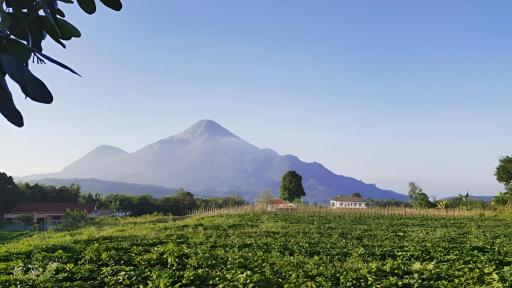 Avila Ketapan Rame Hotel - Housity