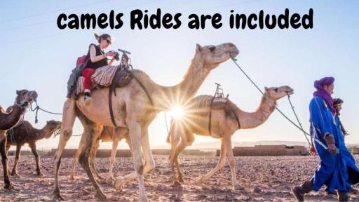 Desert Camp in Zagora - Camel ride - Easy & Affordable Stays - Housity