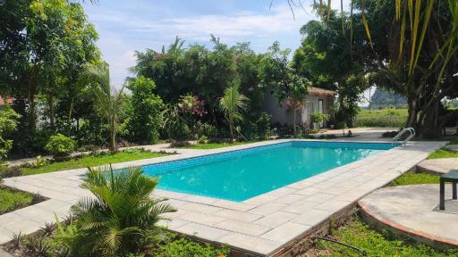 Tuyet's Homestay - Housity