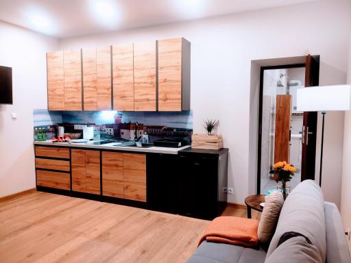 Apartament PLAC KAZIMIERZA WIELKIEGO 5 - Housity