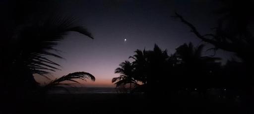 The woods beach homestay - Housity