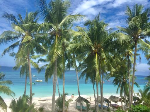 BaraCoco Bungalows - Housity