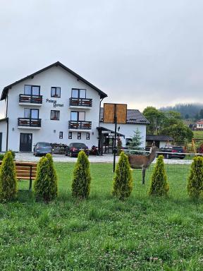 Pensiunea Poiana Dornei - Housity