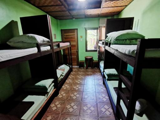 In-N-Out Hostel - Housity