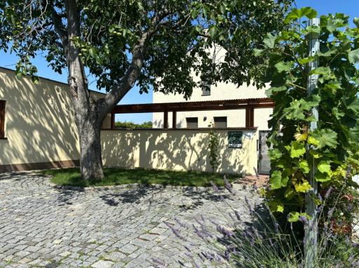 Ubytování Na Vinici - Housity