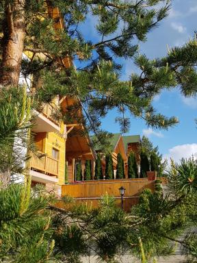 Villa Natural Wood - Housity