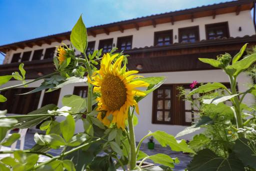 The House of Dollma , Inside Kruja Castle - Housity