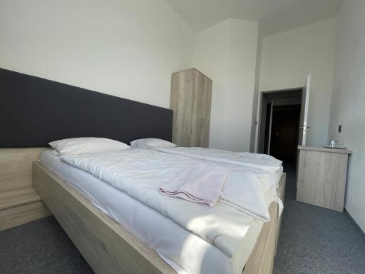Hotel Stadion Hradec Králové - Housity