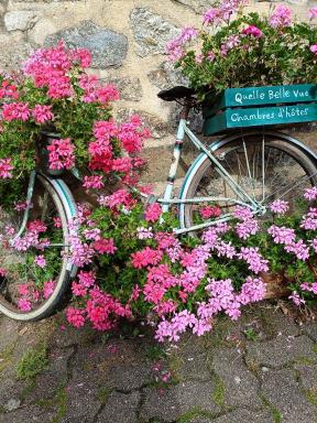 'Quelle Belle Vue' Chambre d'Hote - Housity