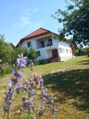 CASA LAVINIA CRASNA GORJ - Housity
