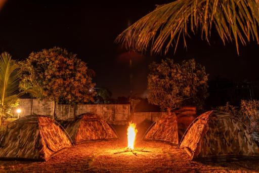 Dandeli Tiger Cottages - Housity