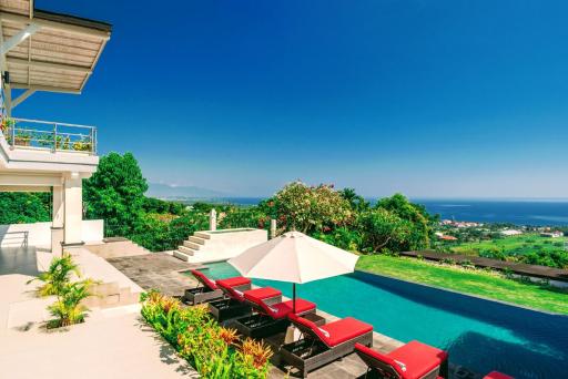 Dolphin Villa Lovina - Housity