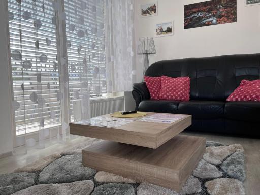 Horský apartmán Nový Javor - s možností využití wellness - Housity