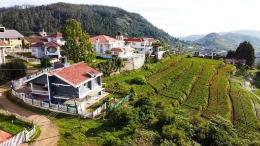 Tiger Hill Homestay - Housity