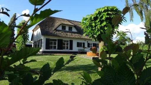 Mimosa bed & breakfast in IJsselmuiden - Housity
