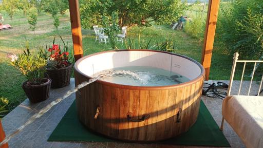 Guesthouse Tulipán Vendégház - Housity