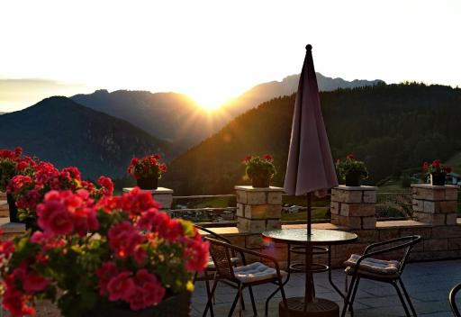 Alpen Hotel 