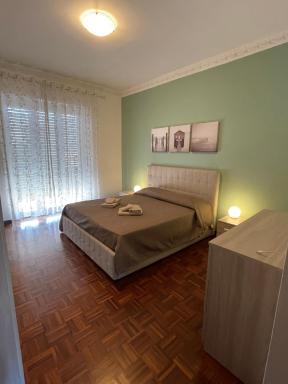 Il Cactus - Hizvo