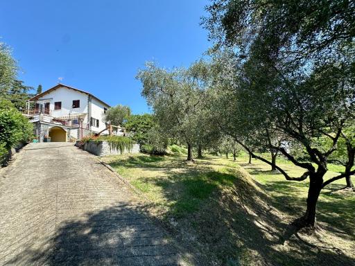 Agriturismo Uliveto Bartolomeo - Hizvo