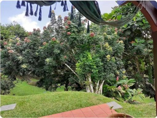 Villa Vivi - Housity