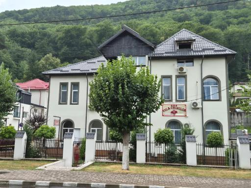 Vila Crinilor - Housity