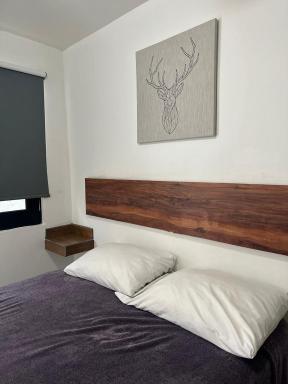 APARTAMENTOS AMBASSADOR - Housity