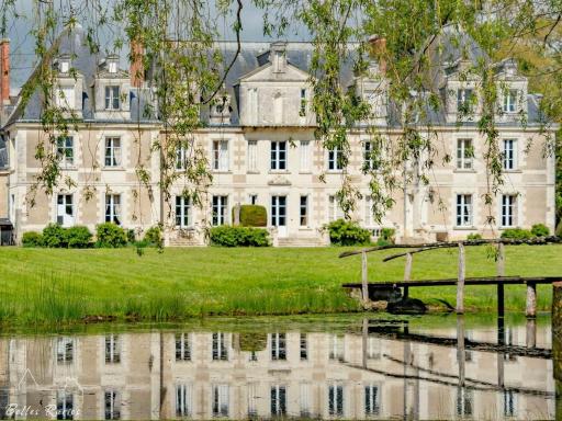 Château XVIIIème, Piscine Chauffée, Sauna, Forêt Privée, Proximité Châteaux de la Loire - FR-1-381-46 - Housity