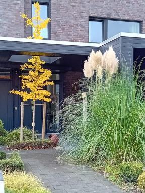 Klause am grünen Hof - Housity