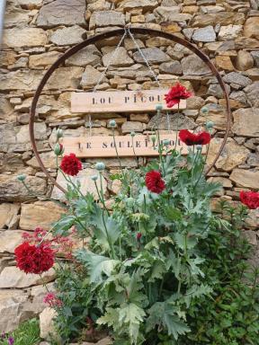 LE SOULEILHOU, 4/6 pax, Gîte, Pyrénees, rando,calme&nature - Housity