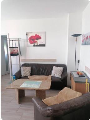 Mohnblume, die kleine Oase - Housity