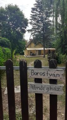Borostyán Vendégház - Housity