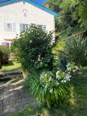 Les Agapanthes - Housity