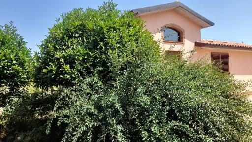 Montepulciano - La Casetta del Pian delle Noci - Housity