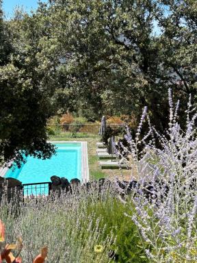 Résidence Casarella Lama - Housity