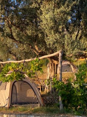 Kruje Camping - Housity