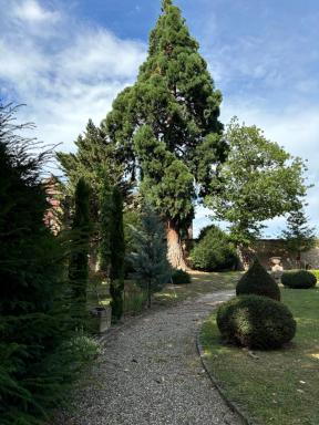 Proche Colmar - Loft dans un ancient couvent du XVIIème siècle - Housity