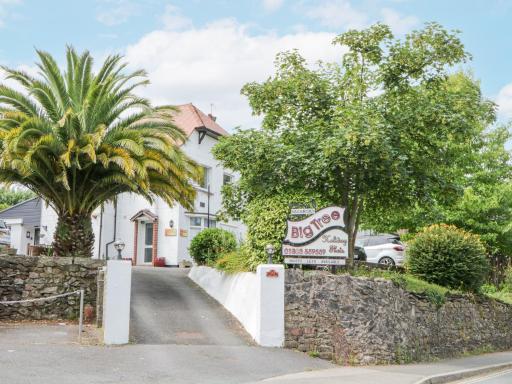 Flat 3, Big Tree Holiday Flats - Housity