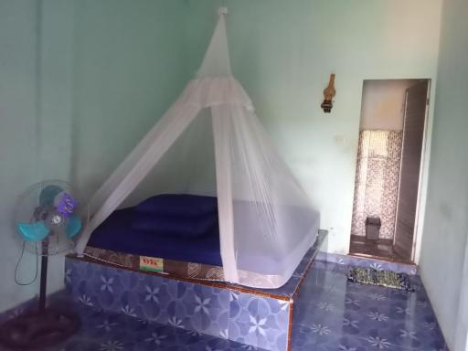 Jungle treking & Jungle Tour booking with us only stay here - Housity