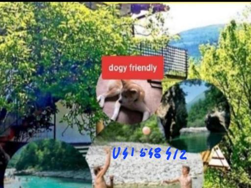 Apartma NADIŽA Borjana107 - Housity