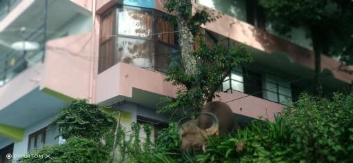 SUGAN RESIDANCY kodai - Housity