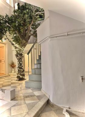 Pink Lemon - Housity