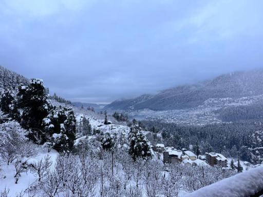 The kavya regency - Housity