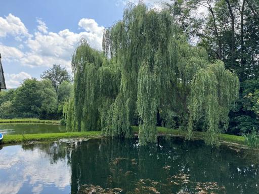 Restauracja i Noclegi Izba Rybacka w Krainie Wygasłych Wulkanów - Housity