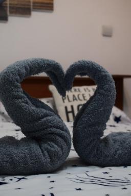 Casa Decebal - Housity