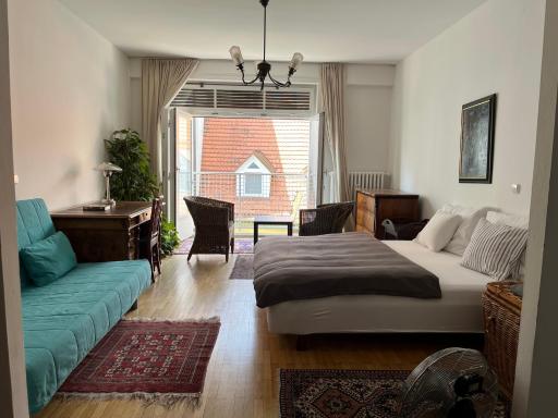 Apartmán Old centre - Rybárska brána - Housity