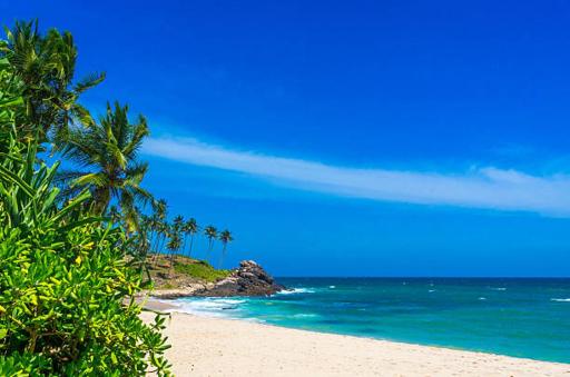 Sun sea guest home - Housity