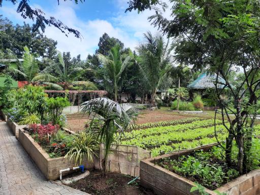 Villegas Organics and Hobby Eco-Tourism Farms - Housity