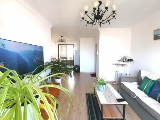 Jenny's Apartment - Housity