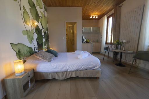 GEWURZTRAMINER - Studio au pied du vignoble - rénové récemment - parking gratuit - Housity