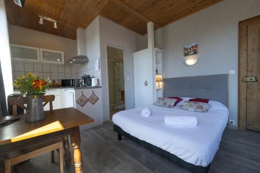 PINOT GRIS - Charmant studio au cœur du vignoble - parking gratuit - Housity